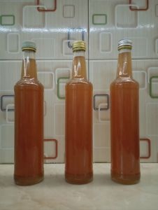 madu asli lebah liar  madu asli lebah kecil madu murni tanpa campuran hasil panen sendiri