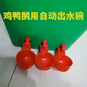 40pcs Automatic use of plastic bird and chickens water dispenser tools quail and pigeon water dispensers drinking bowls for poultry farms Chickens Water Cups