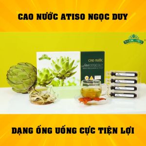 Cao nước atiso Đà Lạt Ngọc Duy hộp 10 ống x 10ml uống liền giúp thanh nhiệt giải khát