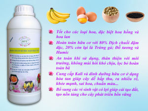 Dịch chuối trứng sữa SOF Phân bón hoa hồng hoa lan cây cảnh...