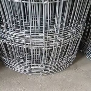 3.3 4 5 6 Kaki 50 Meter 2.0mm Pagar Cyclone Fastlock/Griplock Pagar Lembu Kambing Rusa Kebun Durian Sawit Agro