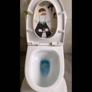 Viên thả tẩy rửa và khử mùi toilet thế hệ mới tiện ích giá rẻ