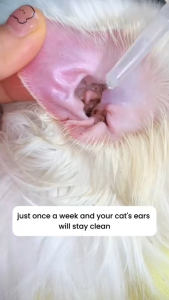 Pet Ear Cleaner Solution Cat & Dog Anti Ear Mite Ear Drop Ubat Telinga Kucing Pencuci Kutu Telinga