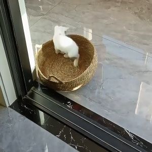 เบาะนอนแมว 3 หมอน ที่นอนหวายสาน เดินทางแมว เตียงแมว ของใช้แมว