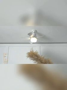 KII 30w/40w Ceiling Lights with Fan 2-in-1 Ceiling Fan Light Ceiling Fan with LED Light Modern and Remote 5/6 Blade