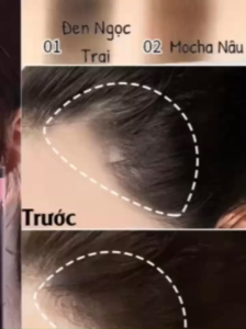 Phấn Che Hói Tóc Dành Cho Nam Và Nữ Bền Màu Không Bết Dính Không Thấm Nước Không Trôi Nhanh Giúp Lấy Lại Tự Tin