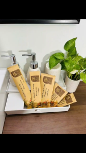 100 bàn chải đánh răng cho nhà nghỉ khách sạn ( MIỄN PHÍ IN TÊN KHÁCH SẠN LÊN SẢN PHẨM )