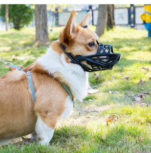 Dog Mouth Masks: Effective Solutions for Bark Control & Travel Safety