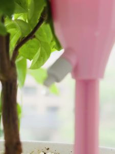 2 Đầu Tưới Nước Nhỏ Giọt Tự Độngphù hợp với nhiều loại chai nhựa