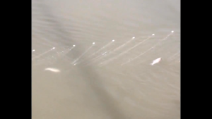 Three Layer Sunken Net White Fishing Net Sticking Net Monofilament Gill Fishing Net Tackle Fishing