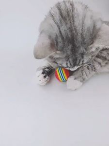 Pet Eva Ball Soft Ball Cat Ball Toy Dog Ball Mini Size Rainbow Color Mainan Kucing Murah Bola Kucing