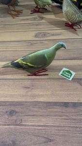 Patung Jontrot Pemikat Burung Punai Hijau Jantan