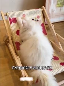 Foldable Wooden Cat Chair Bed Cat Scratch Board Wear-resistant Non-Debris Integrated Suitable for All Seasons Cat Hammock