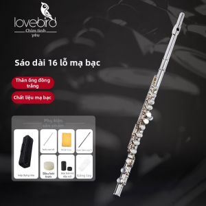 Lovebird | Sáo E Flute 16 Lỗ C Chì Bạc Dành Cho Người Mới Học và Chuyên Nghiệp