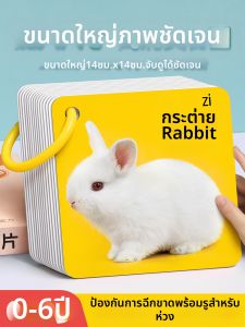 STARRY ARK | Animal Card Cognitive Early Education Baby Learning Book 1 Year Old