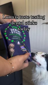 YORA Dog Dental Sticks Small with Apple & Mint โยรา เดนทัล สติ๊กส์ สมอล ขนมขัดฟัน จากโปรตีนแมลง ผสมแอปเปิ้ลและมิ้นท์ สำหรับสุนัขขนาดเล็ก