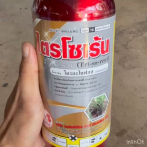 ไตรอะโซฟอส 40%EC ไตรโซเร้น 1L. สูตรเย็นแรง สารกำจัดแมลง ศัตรูพืช กำจัดแมลง กำจัดหนอน เพลี้ย เพลี้ยไฟไรแดง บั่ว แม่บิน