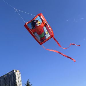 Outdoor Toys Pocket kites flying for kids kites factory ripstop fabric windsurfing kite snake breeze fly kite cheap nylon kites