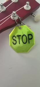 10PCS Pet Safety Reflector Reflective Backpack Pendant Night Walking Safety Gear Warning Stop Ban Pendant Luminous Bicycle Light