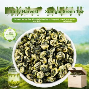 BANRUN | Fragrant Fresh Bud Green Tea