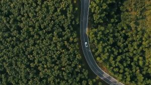 Lều Cắm Trại Lều Dã Ngoại Tự Bung Panorama Lều Du Lịch Cho 4-6 Người Thông Thoáng Chống Nước Cách Nhiệt Tốt