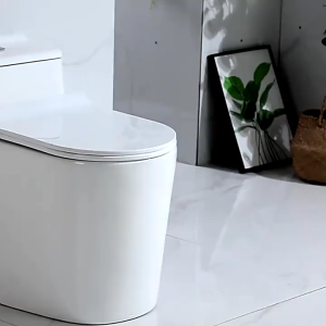 Brett-Smart Toilet Bowl With Dual Flush Set Water Tank Automatic Bidet Spray Toilet High Pressure Toilet