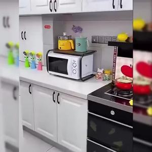 Kitchen Microwave Oven Rice Cooker Storage Rack Dual Layers