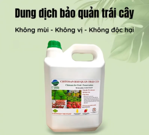 Dung Dịch Chitosan Sinh Học 2 Lít - Hỗ Trợ Kích Rễ Chăm Sóc Cây Trồng Rau Màu Và Hoa Kiểng