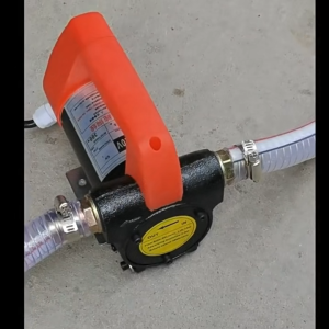 Electric Fuel Transfer Pump 12V/220V Portable Diesel Kerosene Oil Extractor Vehicle Tank Tool