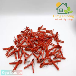 Bộ 50 kẹp ghép thân cây – phù hợp cây leo như bí cà chua chanh dây xem trong mô tả