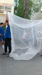 Mùng Lưới May Sẵn Trùm Cây Mận Trùm Cây Ổi Ngăn Ruồi Vàng và Côn trùng chích