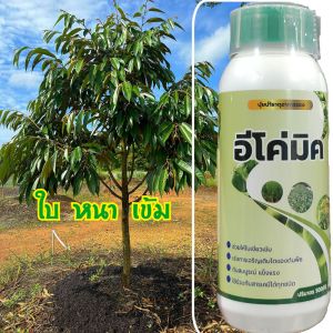 อีโค่มิค ปุ๋ยทุเรียน เร่งการเจริญเติบโต ใบ ยอด ต้น (ขนาดขวดละ500cc.)