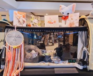 EFCAT Large Cat Exhibition Cage For Show Foldable Cattery Delivery Room Professional Cat Racing Cage