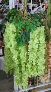 COD 1 LUSIN BUNGA WISTERIA BESAR JUMBO ARTIFICIAL/BUNGA GANTUNG PUTIH DEKORASI PERNIKAHAN MURAH BUNGA MURAH SURABAYA ECER HARGA GROSIR/DAUN DAN BUNGA DEKORASI IMPORT