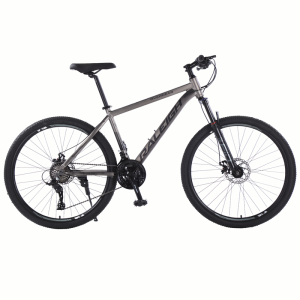 Raleigh | Lockable Shock Absorption Aluminum Alloy Commuter Bicycle