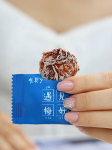 Pregnant Women Snacks Sour Plum Dry Tea Leaf No Kernel Independent Packaging Salt Treated Plum Meat for Brewing Tea And Water Soaking