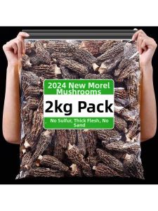 Wild High Grade Fresh Edible Mushroom 500g
