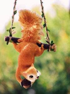 Đồ Trang Trí Sóc Đáng Yêu Sáng Tạo Đồ Treo Trang Trí Trên Cây Mẫu Giáo Ban Công Vườn Hoa Treo Tường Động Vật Ngoài Trời Sân Vườn