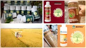 Comprehensive combo for plant growth and protection Redmagic + Beskill + Rooting King