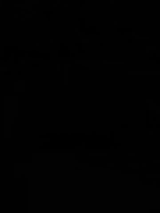 Jaring anti panas Paranet 95% Kaca tanaman Sunshade Net Tabir Surya anti uv Tahan Lama Berventilasi Enkripsi