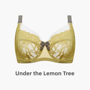 Full Coverage Minimizer Bra Thin Style