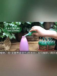 [SG Ready Stock] 5 bottles/10 bottles Liquid Plants fertilizer hydroponic Multipurpose Fertiliser Ample Liquid 36ml