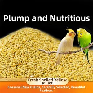 DIJIE | Seasonal Parrot Bird Food