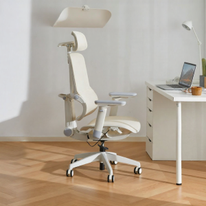 BOJOJAN | Ergonomic Comfort Office Chair for Prolonged Sitting