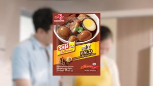 รสดีเมนูพะโล้ผงปรุงสำเร็จ 60กรัม 10 ซอง