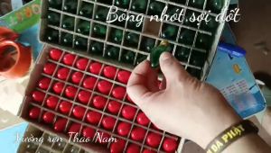Combo 50 bóng đèn quả nhót sợi đốt các màu - siêu bền - hàng chuẩn đẹp