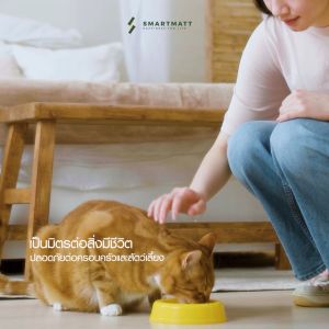 พื้น SPC กันน้ำ กันปลวก 100% SMARTMATT หนา 6 มม. ลายไม้ สี CANARY OAK 1 กล่อง 💖(พร้อมส่ง)💖