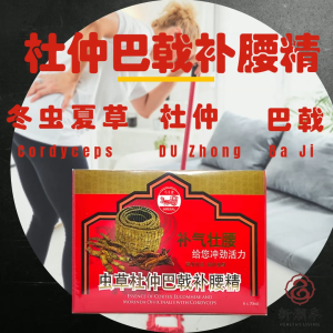 Imperial Brand Essence Of Cortex Eucommiae and Morinda Officinalis With Cordyceps 马车牌虫草杜仲巴戟补腰精 6 x 70ml