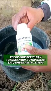 Booster 76 100ml Pupuk Organik Penyubur Pelebat Pembesar Buah
