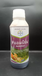 แอมบิชั่น ขนาด 1 ลิตร กรดอะมิโน+ฟลูวิคเข้มข้น เร่งราก เร่งใบเขียว ต้นอวบใหญ่ ผลผลิตสูง ทนทุกสภาพอากาศ แก้ต้นโทรม ขั้วเหนียว NPKPlant